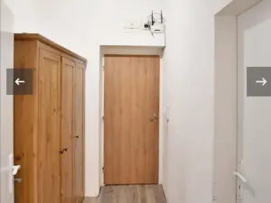 Pronájem bytu 1+kk, České Budějovice, K. V. Raise, 30 m2