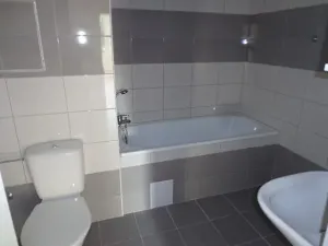 Pronájem bytu 4+1, Ústí nad Labem, Dr. Horákové, 70 m2