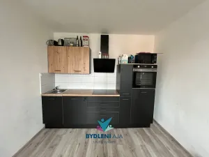 Prodej bytu 1+1, Teplice, Československých legií, 48 m2