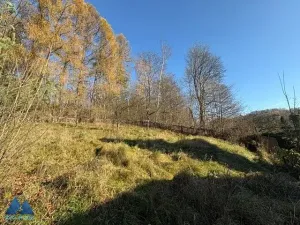 Prodej rodinného domu, Benešov u Semil, 73 m2