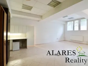 Pronájem kanceláře, Praha, Kremnická, 48 m2