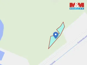 Prodej louky, Trhové Sviny, 574 m2