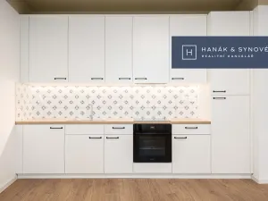 Pronájem bytu 2+kk, Brno, Cejl, 45 m2