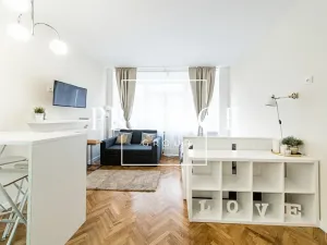 Pronájem bytu 1+kk, Praha - Nové Město, Myslíkova, 27 m2
