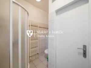 Prodej bytu 2+1, Brno - Židenice, Rokycanova, 68 m2