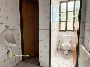 Pronájem obchodního prostoru, Aš, 260 m2