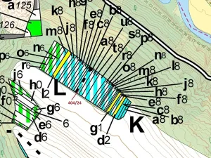 Dražba lesa, Ivančice, 741 m2