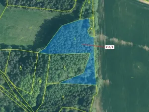 Dražba lesa, Kuřimany, 5067 m2