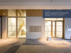 Pronájem bytu 1+kk, Brno, Francouzská, 26 m2