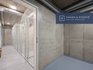 Pronájem bytu 1+kk, Brno, Francouzská, 26 m2