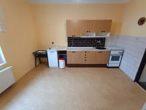 Pronájem vícegeneračního domu, Nepomuk, 280 m2