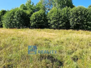 Prodej louky, Trutnov - Babí, 6930 m2