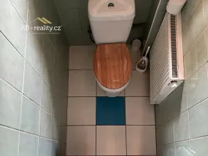 Prodej rodinného domu, Krupka, Alešova, 226 m2