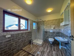 Prodej rodinného domu, Háj u Duchcova, Ke Knížáku, 243 m2