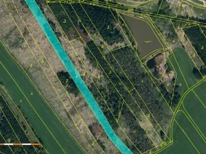 Prodej lesa, Dolní Cerekev, 11509 m2