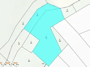 Prodej lesa, Česká Bělá, 8665 m2