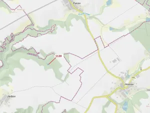 Dražba lesa, Náměšť nad Oslavou, 931 m2