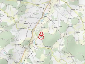 Prodej lesa, Nezdice, 4671 m2