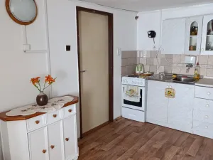 Prodej chalupy, Vranová Lhota, 382 m2