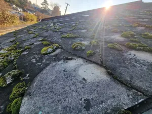 Prodej rodinného domu, Svitavy, Jana Želivského, 157 m2