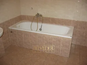 Pronájem bytu 1+1, Teplice, U Hadích lázní, 44 m2