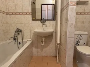 Prodej bytu 1+kk, Ostrava, Heleny Salichové, 27 m2