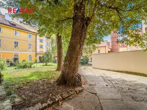 Prodej bytu 2+1, Praha - Staré Město, Náprstkova, 42 m2