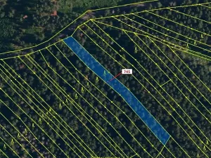 Dražba lesa, Dolní Vilémovice, 1957 m2