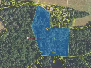 Dražba lesa, Sýkořice, 8962 m2