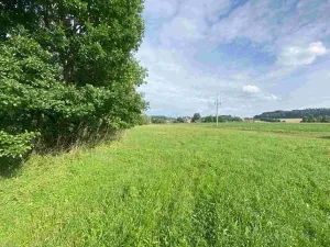 Dražba louky, Maleč, 6901 m2