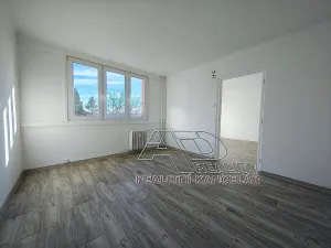 Prodej bytu 3+1, České Budějovice, L. M. Pařízka, 61 m2