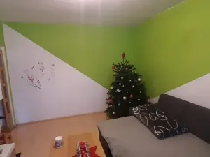 Pronájem bytu 2+1, Prostějov, Jana Zrzavého, 56 m2