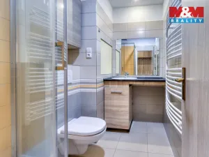 Pronájem bytu 1+1, Plzeň - Doudlevce, Skupova, 39 m2