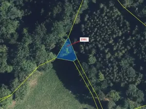 Dražba lesa, Kladky, 183 m2