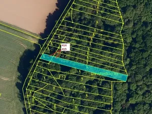 Dražba lesa, Hradčany-Kobeřice, 975 m2