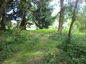 Dražba louky, Pěčín, 5224 m2