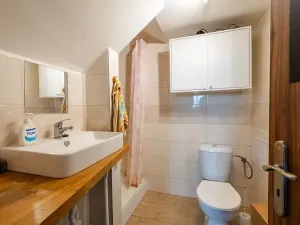 Prodej vícegeneračního domu, Ostopovice, U Kaple, 450 m2