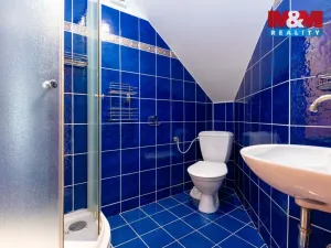 Prodej bytu 5+kk, Opava - Předměstí, Komenského, 180 m2