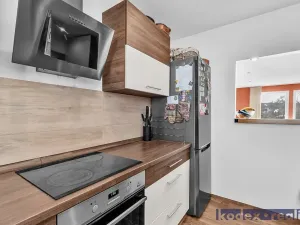 Prodej rodinného domu, Hradec Králové, U Jednoty, 300 m2