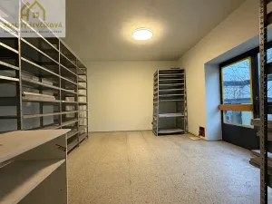 Pronájem obchodního prostoru, Hradec Králové, Hořická, 127 m2