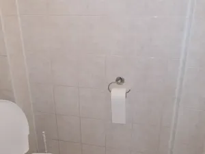 Prodej rodinného domu, Vyškov, Palackého, 48 m2