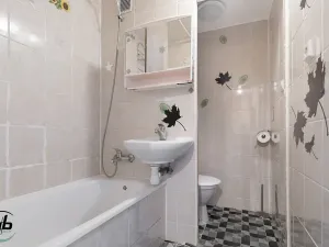 Prodej bytu 1+1, Frýdek-Místek, Ostravská, 30 m2