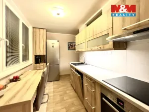 Prodej bytu 3+1, Vítkov, Selská, 68 m2