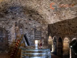 Prodej ubytování, Březí, 334 m2