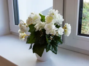 Prodej rodinného domu, Těrlicko - Horní Těrlicko, Farní, 100 m2