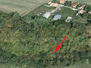 Prodej lesa, Skuteč, 3111 m2