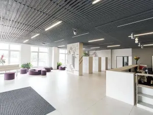 Pronájem bytu 1+kk, Praha - Vysočany, Freyova, 33 m2