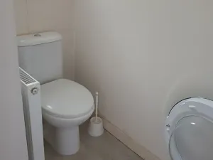 Pronájem bytu 2+1, Teplice, Jankovcova, 62 m2