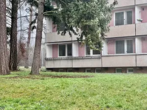 Prodej bytu 2+1, Brno, Záhřebská, 56 m2