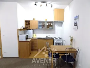 Pronájem bytu 1+kk, Jablonec nad Nisou, Široká, 43 m2